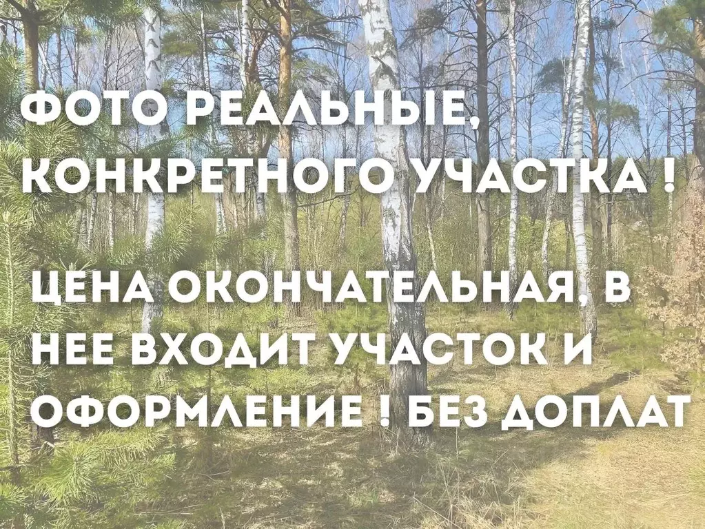 Участок в Тульская область, Заокский район, Малаховское муниципальное ... - Фото 1