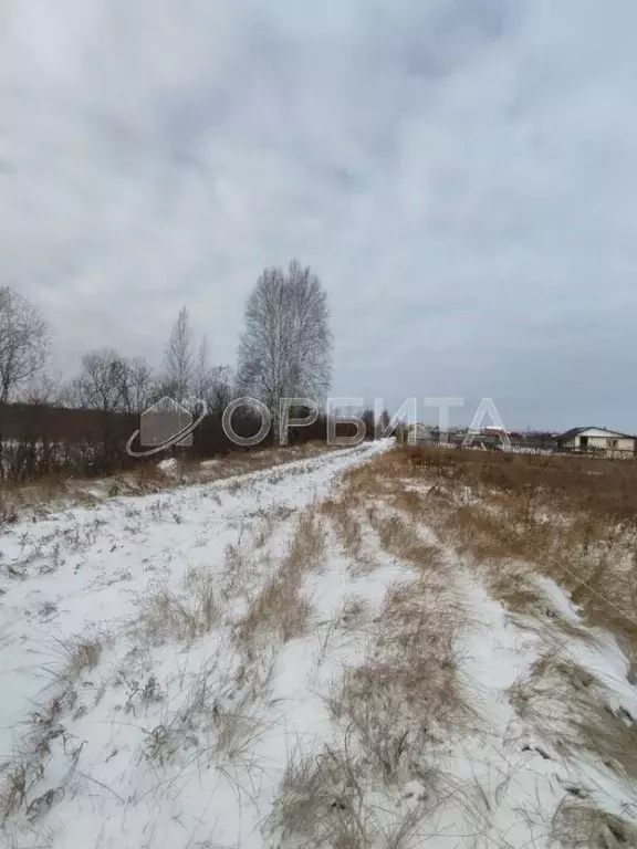 Участок в Тюменская область, Тюменский район, Горошинка-3 СНТ ул. ... - Фото 1