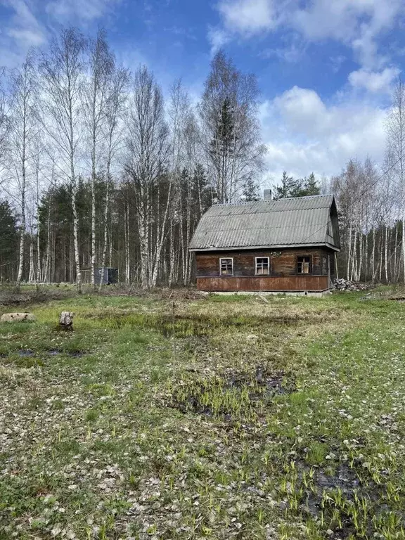 Дом в Ленинградская область, Ломоносовский район, Лебяженское ... - Фото 1