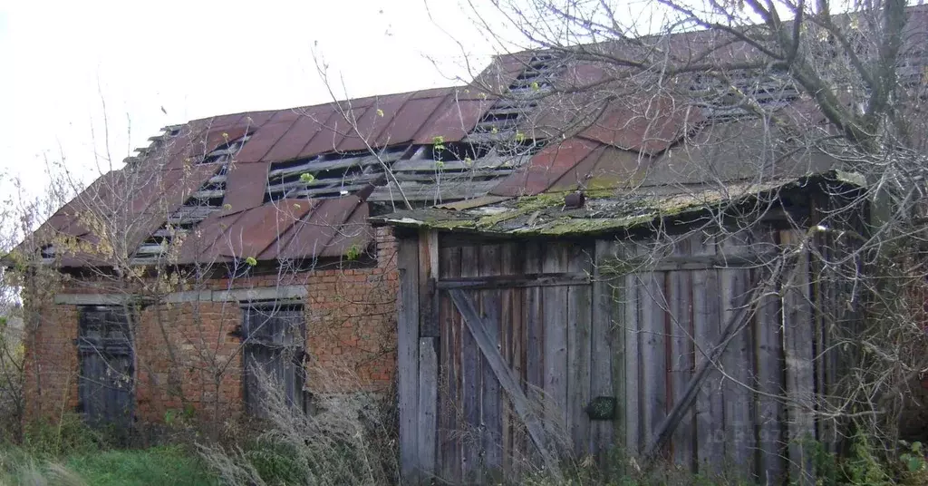 Помещение свободного назначения в Ростовская область, Тарасовский ... - Фото 1