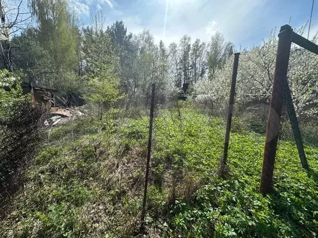 Участок 7,5 сот. (СНТ, ДНП) - Фото 0