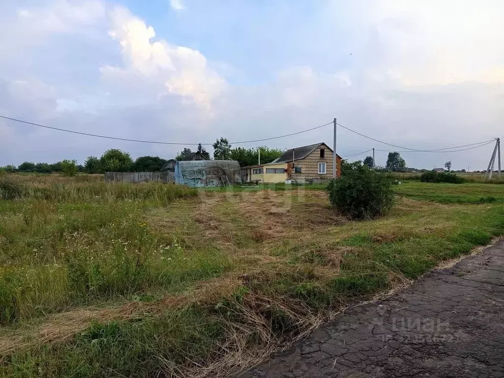 Участок в Мордовия, Кочкуровский район, с. Воеводское  (12.0 сот.) - Фото 2