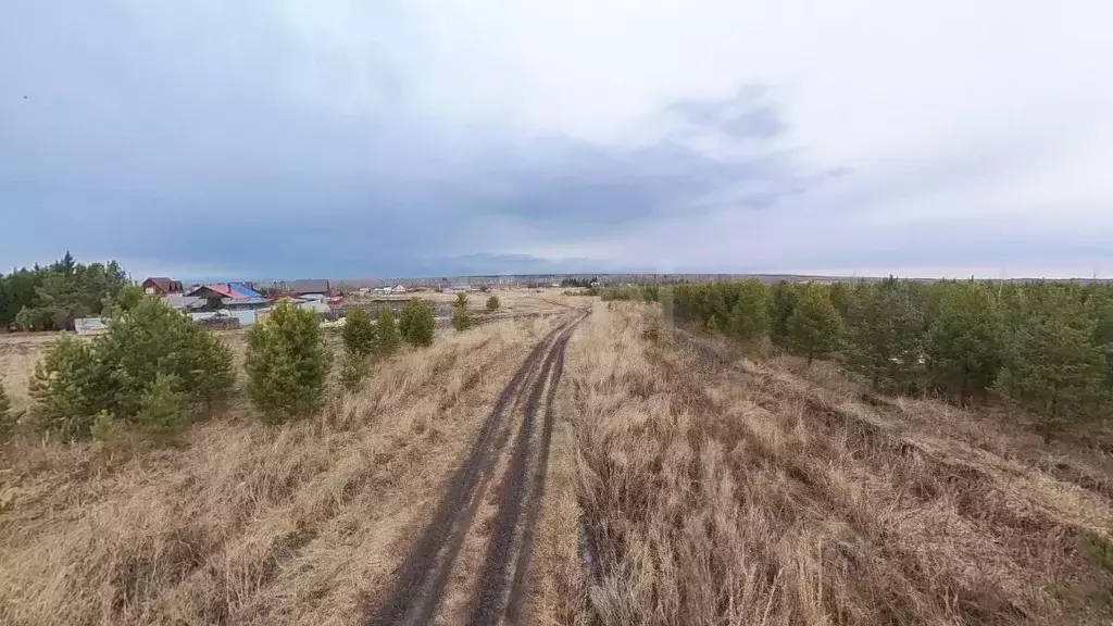 Участок в Свердловская область, Слободо-Туринский район, ... - Фото 2