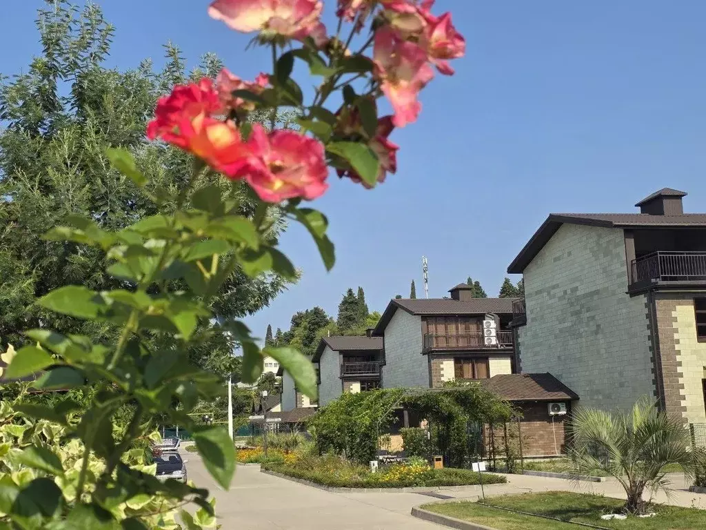Таунхаус в Краснодарский край, Сочи ул. Романтиков (89 м) - Фото 1