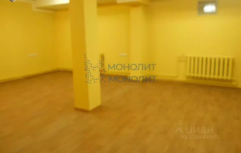 Офис в Нижегородская область, Нижний Новгород ул. Ванеева (120 м) - Фото 1
