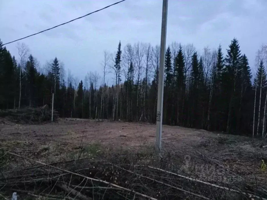 Участок в Пермский край, Березники ул. Благополучия, 14 (14.1 сот.) - Фото 2