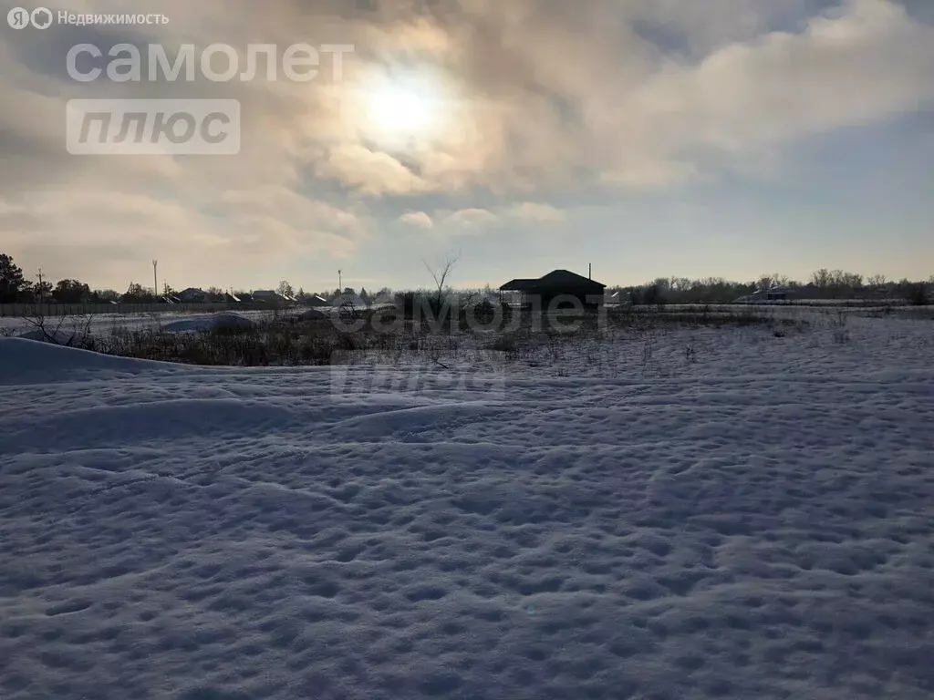 Участок в хутор Степановский, Лесная улица, 3 (7.1 м) - Фото 1