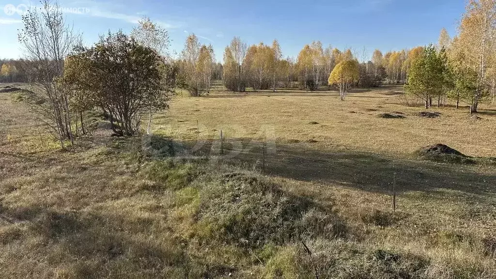 Участок в Тюмень, территория СОСН Берёзка-3 (5 м) - Фото 1