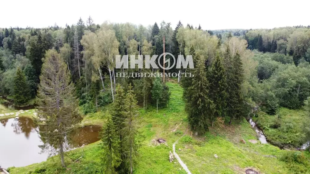 Участок в Московская область, Рузский муниципальный округ, Руза Лес дп ... - Фото 1