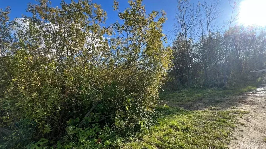 Участок в Московская область, Истра ул. Ленина, Река Истра (23.0 сот.) - Фото 1