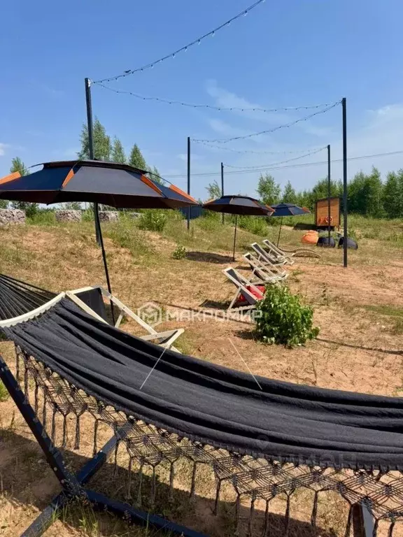 Участок в Ленинградская область, Гатчинский муниципальный округ, ... - Фото 1