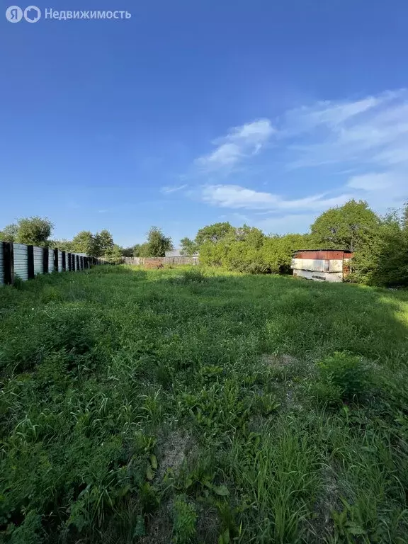 Участок в Амурская область, городской округ Благовещенск, село Садовое ... - Фото 0