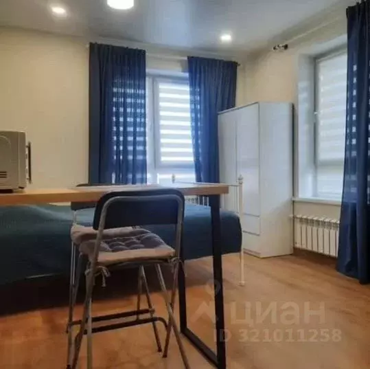 1-к кв. Новосибирская область, Новосибирск ул. Фрунзе, 252/1 (23.0 м) - Фото 1