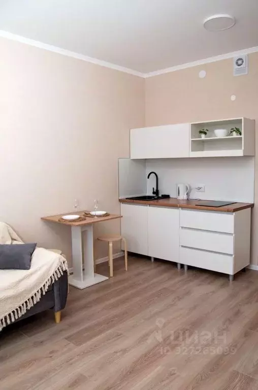 Студия Ленинградская область, Всеволожский район, Заневское городское ... - Фото 2