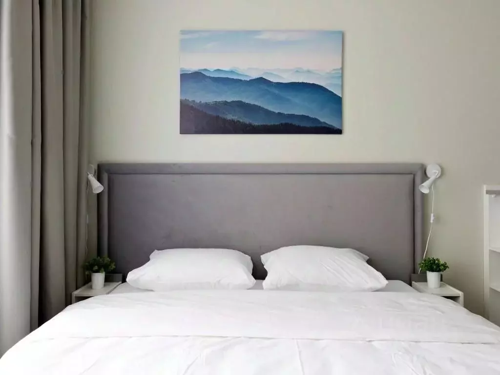 1-к кв. Санкт-Петербург Витебский просп., 99к1 (24.0 м) - Фото 2