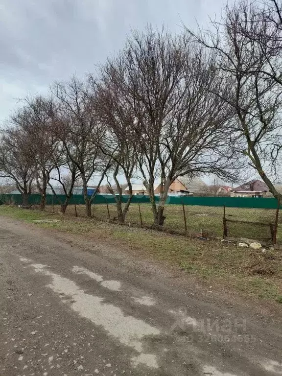 Участок в Ростовская область, Родионово-Несветайская сл.  (6.0 сот.) - Фото 1