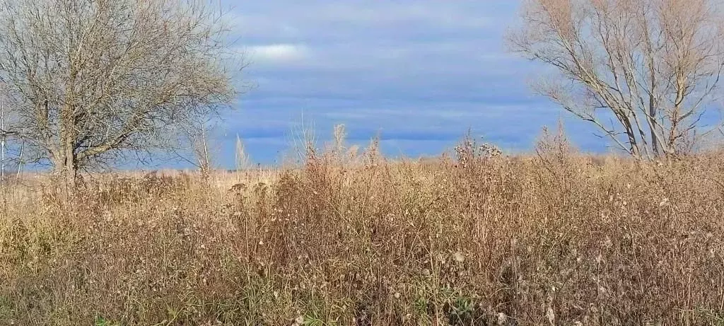 Участок в Ярославская область, Ярославль пос. Бакуниха,  (7.0 сот.) - Фото 1