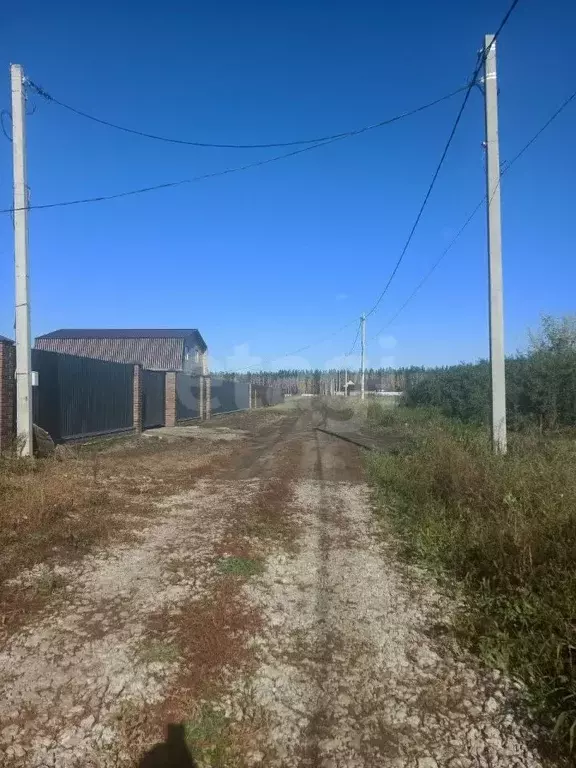Участок в Омская область, Омский район, с. Усть-Заостровка Березовая ... - Фото 1
