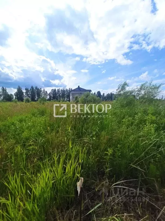 Участок в Костромская область, Кострома Первый кп, проезд ... - Фото 2