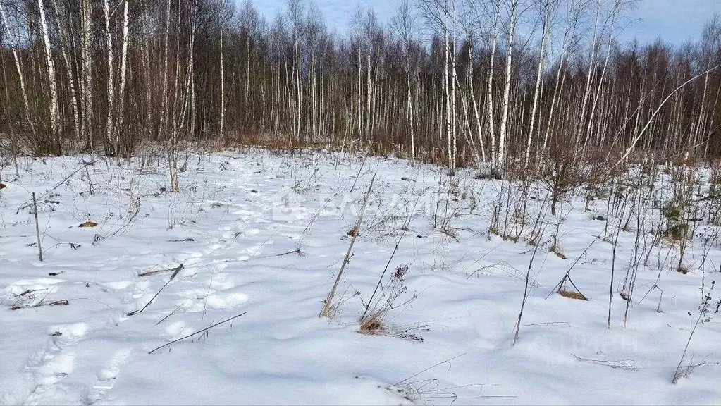 Участок в Калужская область, Калуга городской округ, д. Матюнино  ... - Фото 0
