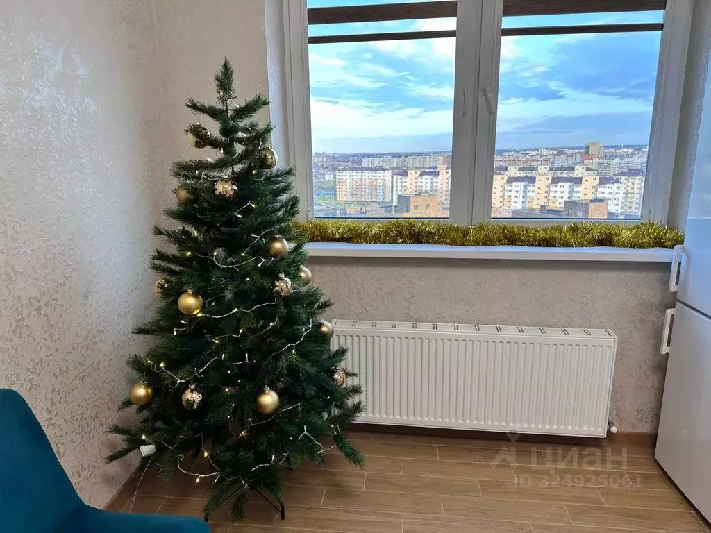 1-к кв. Адыгея, Майкоп ул. К.А. Васильева, 1к6 (40.0 м) - Фото 1