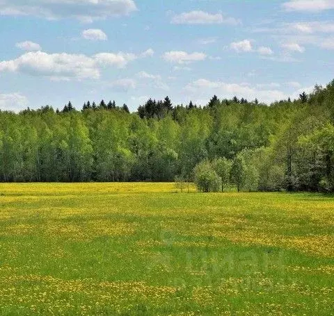 Участок в Челябинская область, Аргаяшский район, с. Байрамгулово  ... - Фото 0