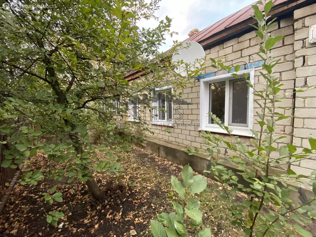 Дом в Ртищево, улица 40 лет Октября, 1 (58 м) - Фото 0