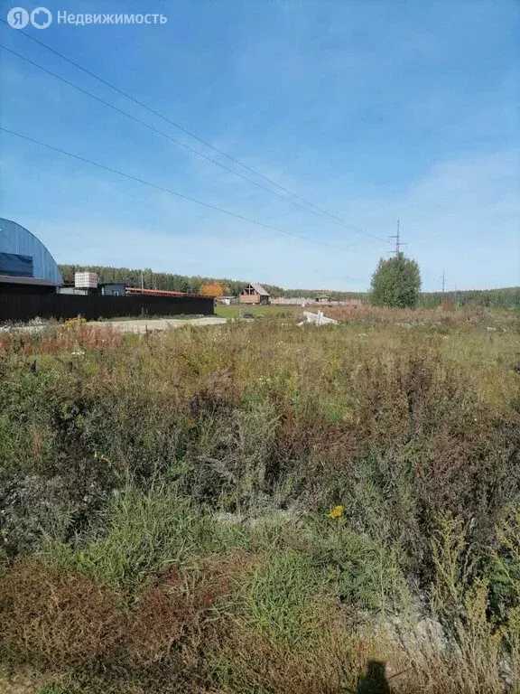 Участок в Екатеринбург, жилой район Центральный (7.5 м) - Фото 2