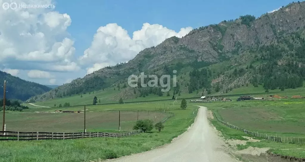 Участок в Усть-Коксинский район, село Тихонькая, Западная улица (15 м) - Фото 1