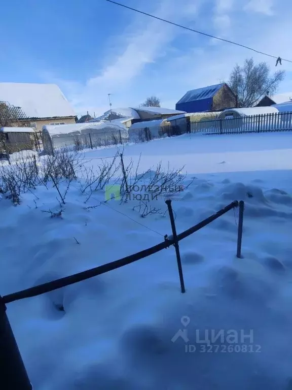 Участок в Курганская область, с. Кетово ул. Тихая, 7 (10.0 сот.) - Фото 1