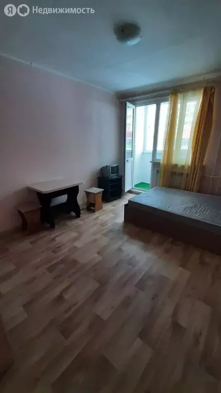 Квартира-студия: село Засечное, Светлая улица, 11 (28 м) - Фото 2