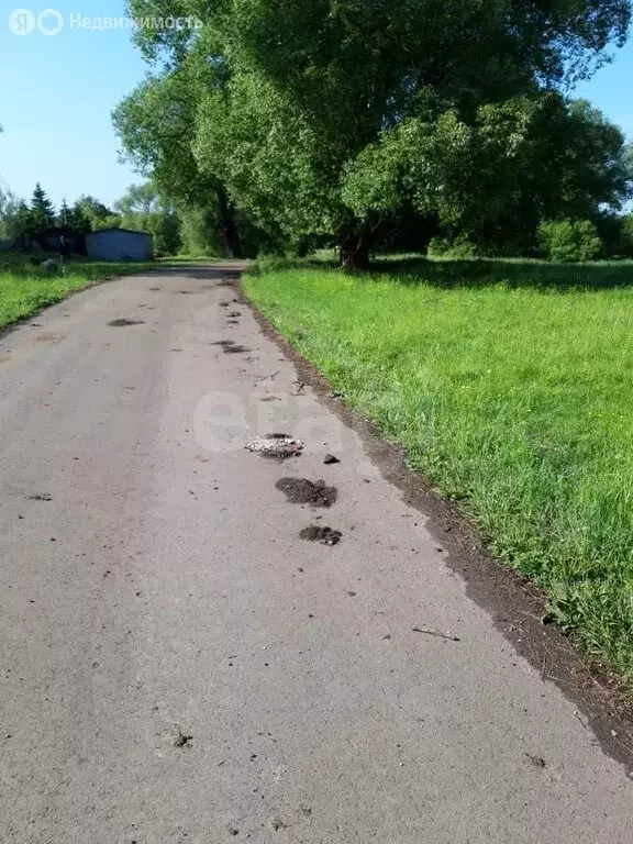 Участок в село Ключарёво, Центральная улица (19.5 м) - Фото 1