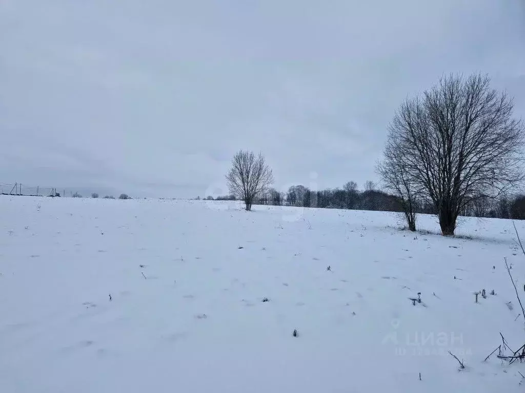 Участок в Ленинградская область, Ломоносовский район, Ропшинское ... - Фото 1