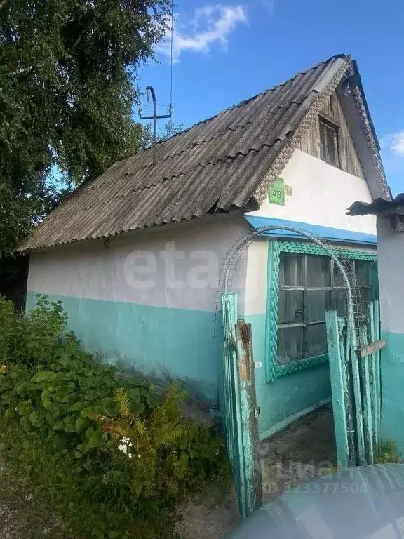 Дом в Новосибирская область, Новосибирск Ложок садовое товарищество, ... - Фото 2