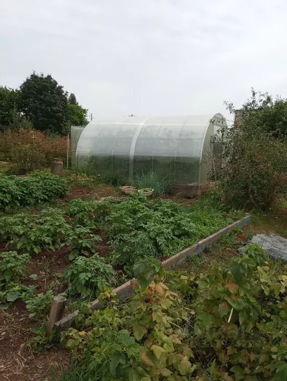 Дом в Пермский край, Нытва  (80 м) - Фото 2