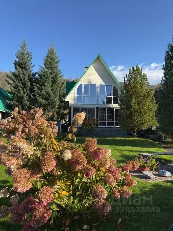 Дом в Алтай, Майминский район, с. Манжерок Береговая ул., 12 (95 м) - Фото 1