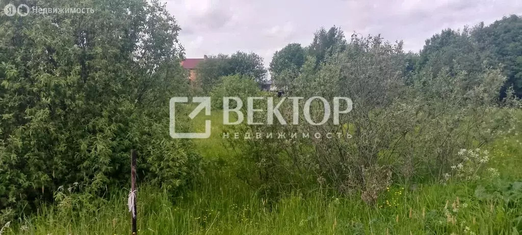 Участок в Костромской район, Кузьмищенское сельское поселение, деревня ... - Фото 0