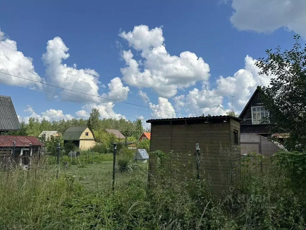 Дом в Ленинградская область, Лужский район, Мшинское с/пос, Мшинская ... - Фото 2