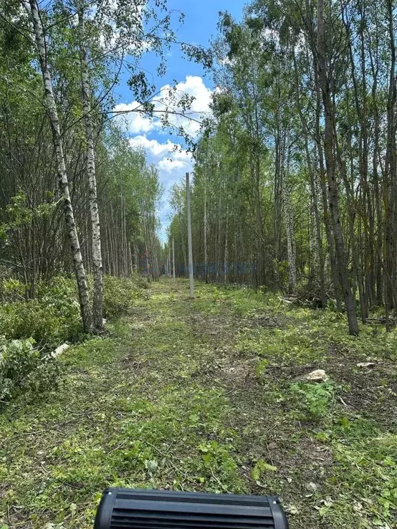 Участок в Нижегородская область, Богородский муниципальный округ, с. ... - Фото 2