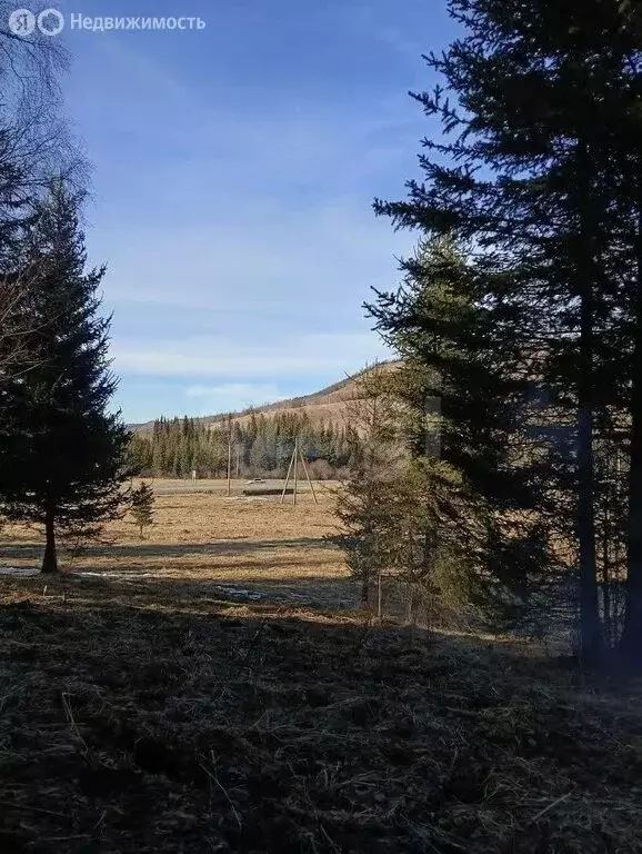 Участок в Шебалинский район, село Топучая (203.33 м) - Фото 1