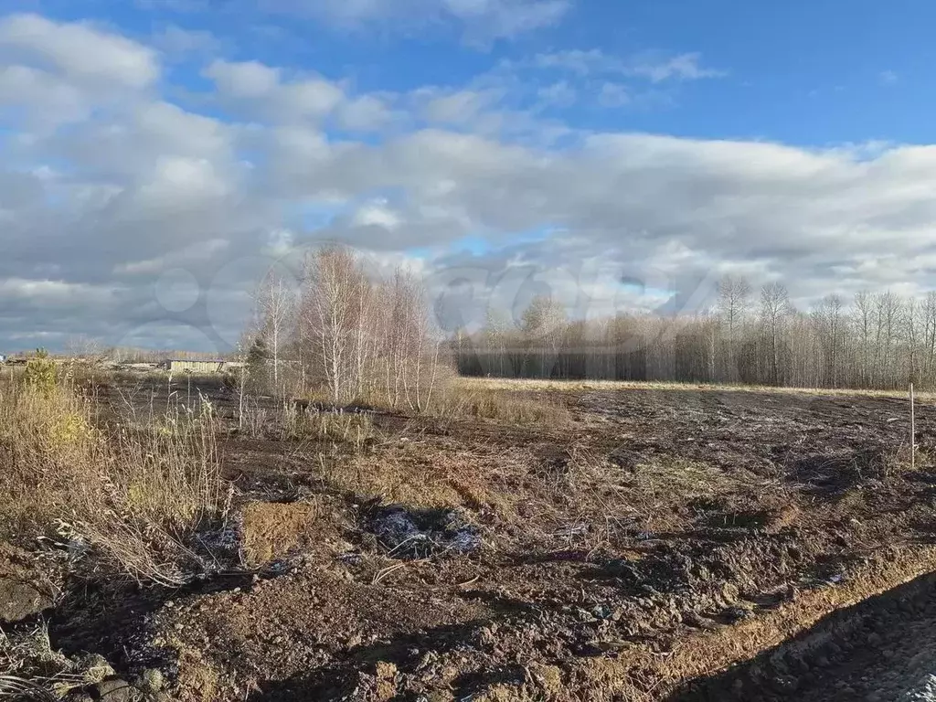 Участок 1,5 га (СНТ, ДНП) - Фото 0