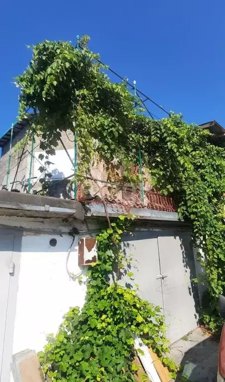 Гараж в Краснодарский край, Анапа Северная ул., 73 (41 м) - Фото 1