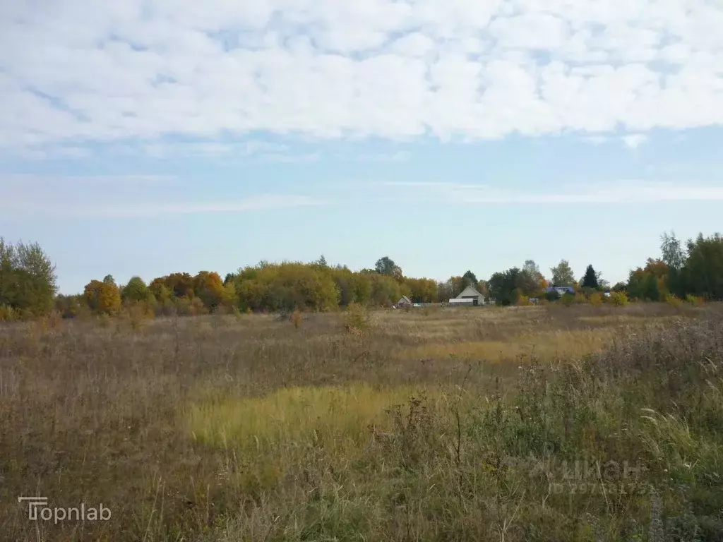 Участок в Рязанская область, Шиловский район, Мосоловское с/пос, д. ... - Фото 2