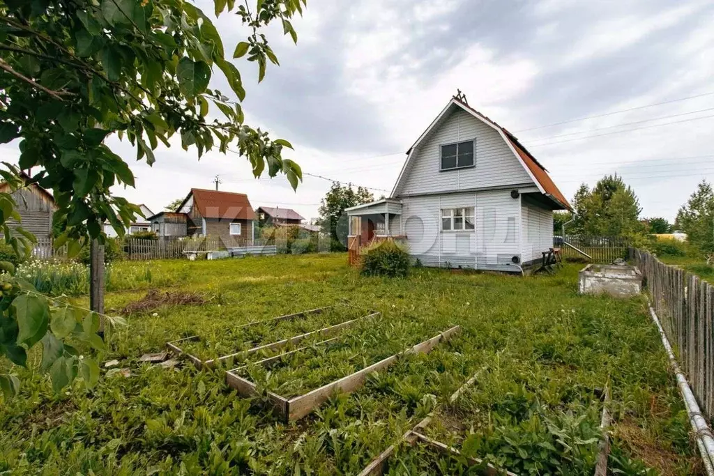 Дом в Новосибирская область, Новосибирский район, Толмачевский ... - Фото 0
