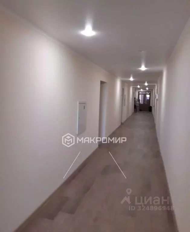 Офис в Орловская область, Орел ул. Лескова, 19 (103 м) - Фото 1