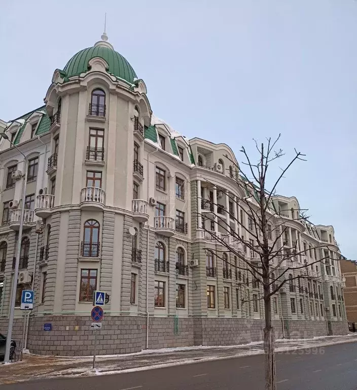 Помещение свободного назначения в Татарстан, Казань ул. Дзержинского, ... - Фото 2