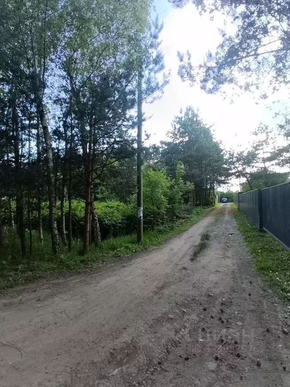 Участок в Московская область, Пушкино Новая Деревня мкр,  (4.0 сот.) - Фото 1