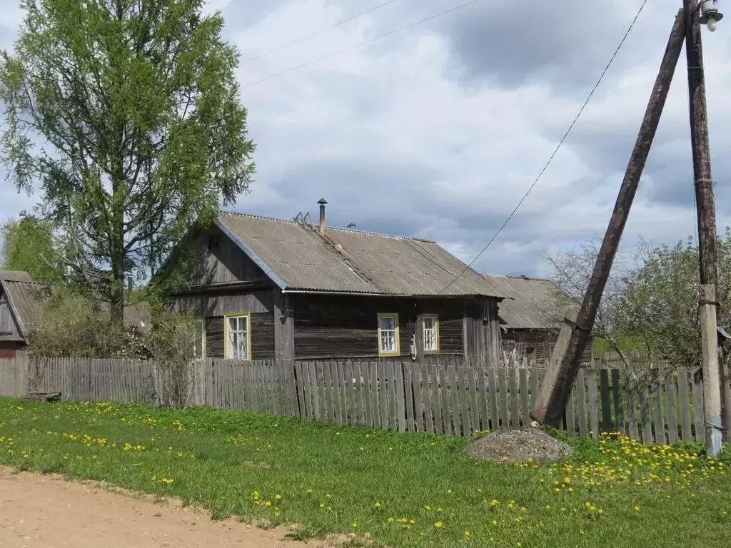 Дом в Тверская область, Оленинский район, д. Требески  (64 м) - Фото 1
