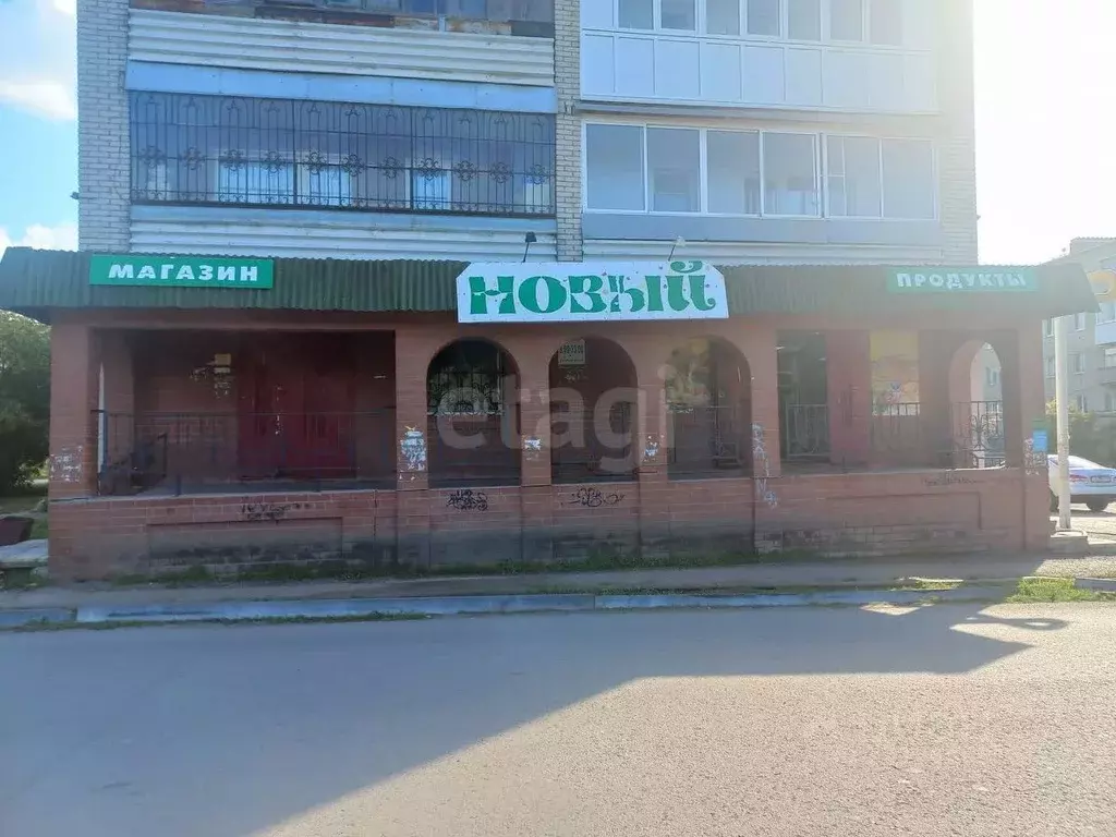 Торговая площадь в Курганская область, Далматово ул. Харитонова, 7 ... - Фото 1