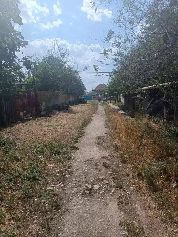 Участок в Волгоградская область, Светлоярский район, с. Большие ... - Фото 2